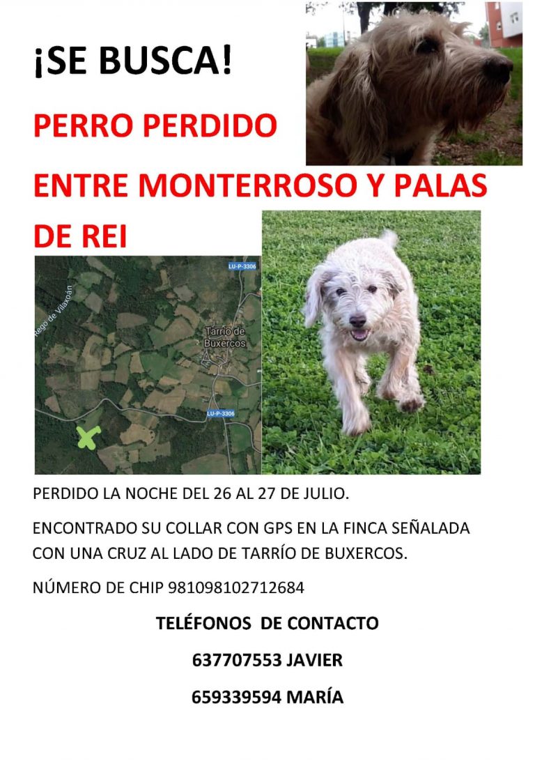 Codigo Sagrado Para Encontrar Mascotas Perdidas