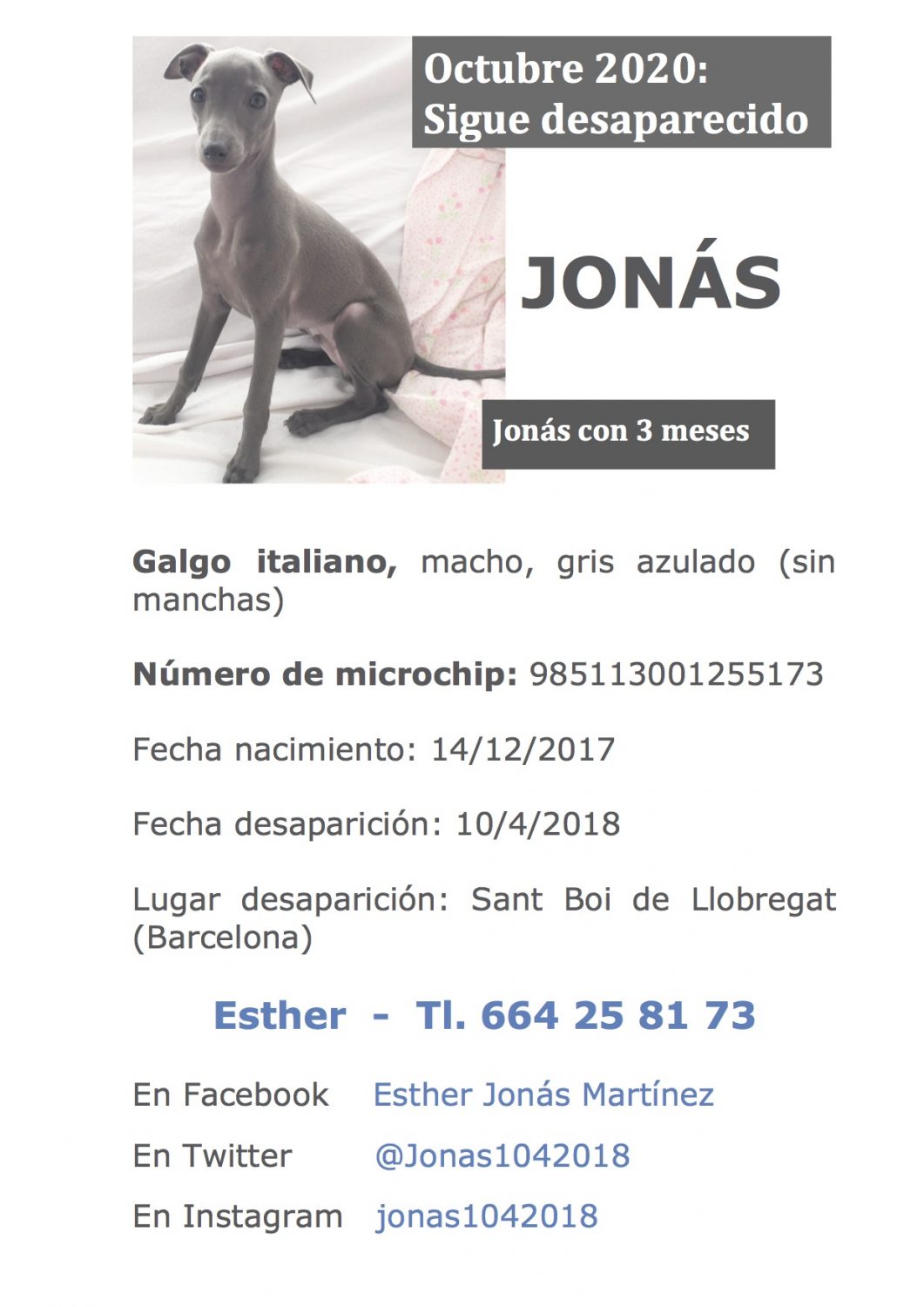 Codigo Sagrado Para Encontrar Mascotas Perdidas